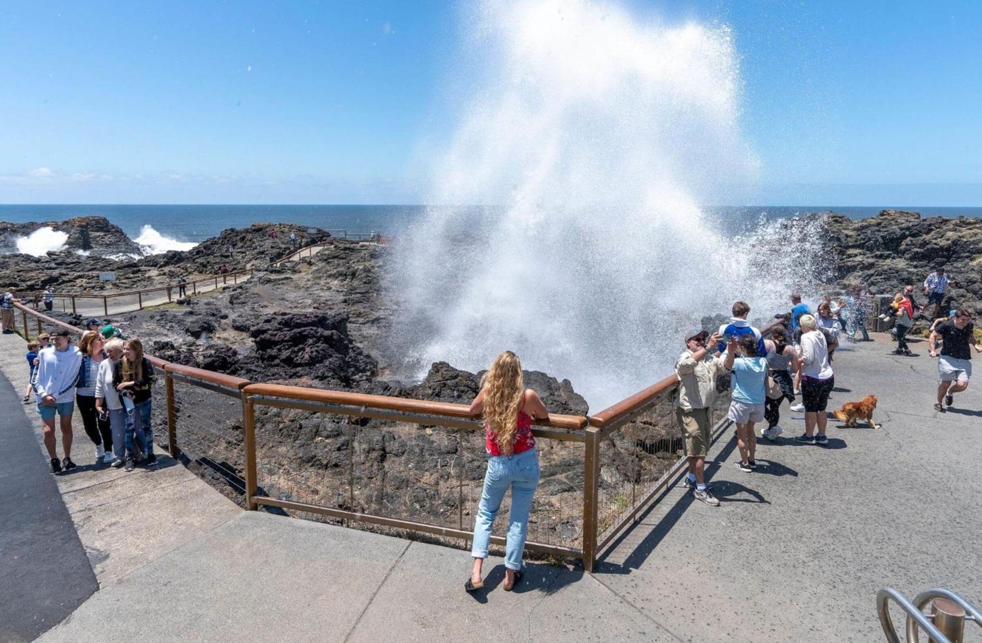 Kiama Harbour Cabins エクステリア 写真